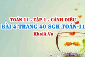 Bài 4 trang 40 SGK Toán 11 tập 1 Cánh Diều